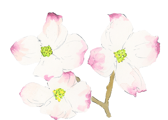 charlotte-flowers