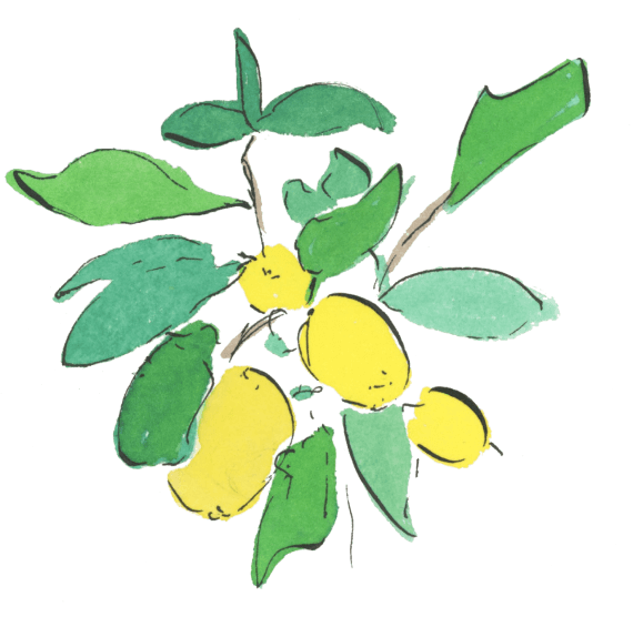 lemon